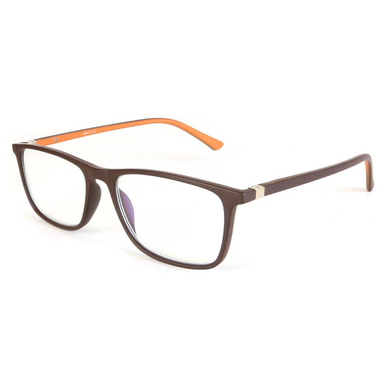 Reading glasses - Double Injection - FS-9160 - 1 pair of glasses