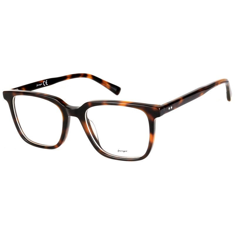 Montatura occhiali da vista - Montatura Acetato - FE-A131